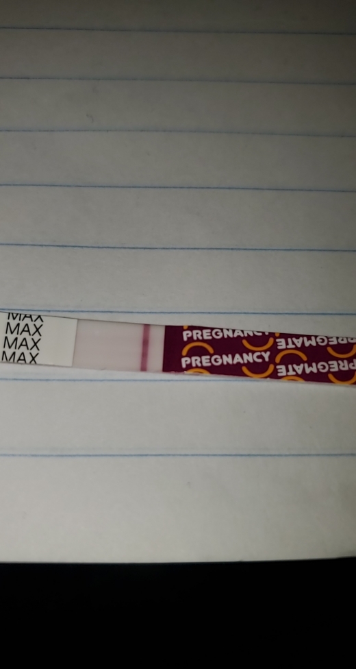 Wondfo Test Strips Pregnancy Test, 10 Days Post Ovulation, FMU, Cycle Day 24