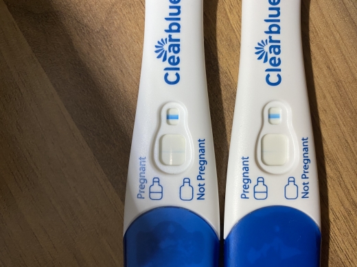 Clearblue Plus Pregnancy Test, 12 Days Post Ovulation, FMU, Cycle Day 31