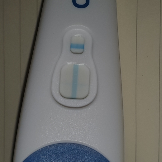 Clearblue Plus Pregnancy Test, 12 Days Post Ovulation, Cycle Day 24