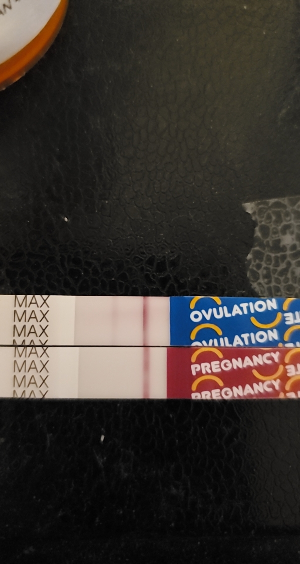 Wondfo Test Strips Pregnancy Test, 8 Days Post Ovulation, FMU, Cycle Day 22