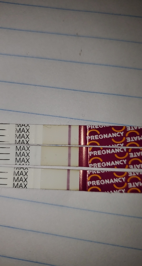 Home Pregnancy Test, 10 Days Post Ovulation, Cycle Day 24