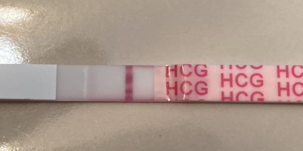 Easy-At-Home Pregnancy Test, 13 Days Post Ovulation, Cycle Day 29