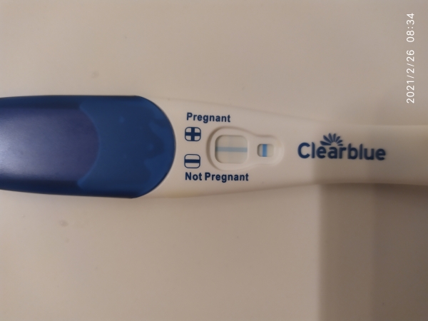 Clearblue Plus Pregnancy Test, 15 Days Post Ovulation, FMU, Cycle Day 27