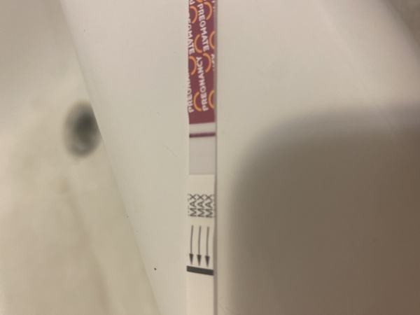Pregmate Pregnancy Test
