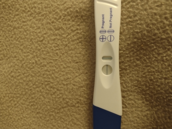 Equate Pregnancy Test, 21 Days Post Ovulation, Cycle Day 45
