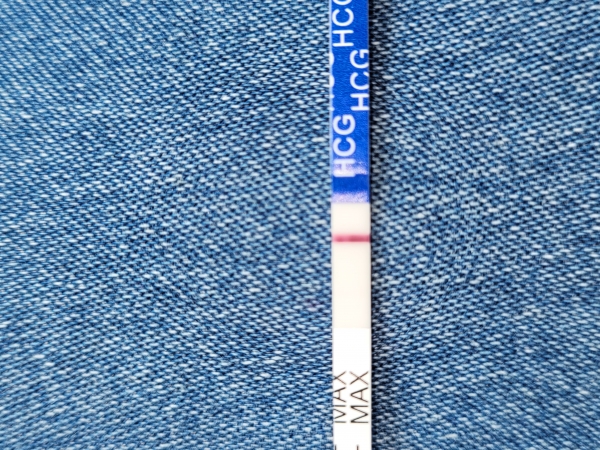 Generic Pregnancy Test, 7 Days Post Ovulation, Cycle Day 31