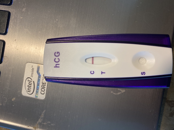 Equate Pregnancy Test, 10 Days Post Ovulation, Cycle Day 24