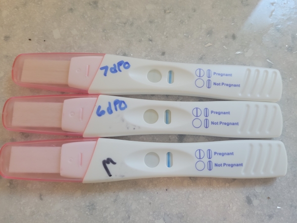 CVS Early Result Pregnancy Test, 7 Days Post Ovulation, FMU, Cycle Day 22