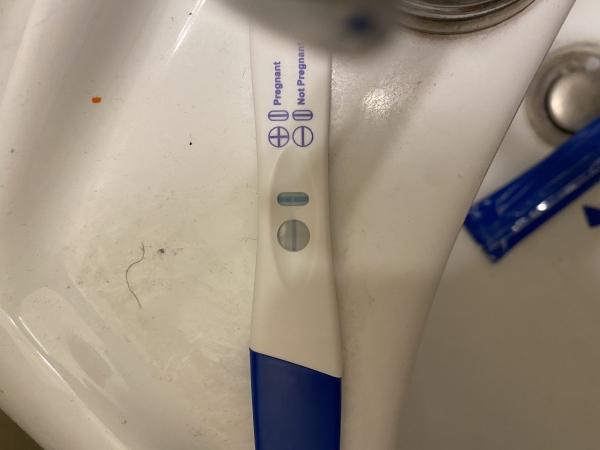 Generic Pregnancy Test, 12 Days Post Ovulation, Cycle Day 26