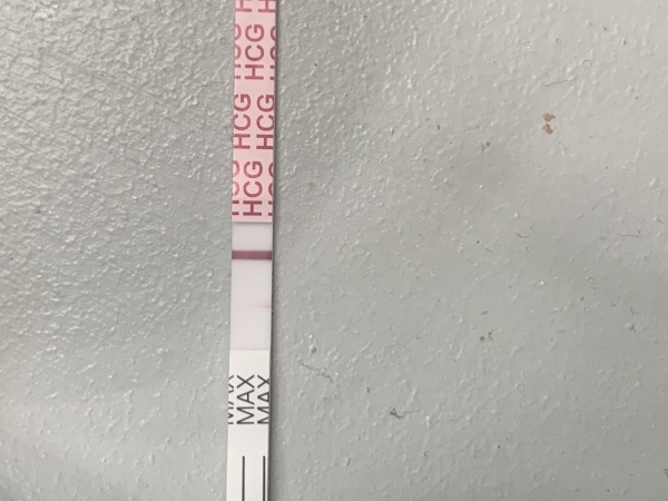 AccuMed Pregnancy Test, Cycle Day 37