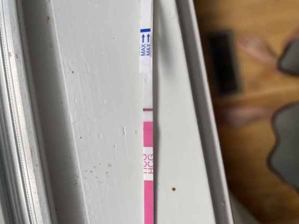 Clinical Guard Pregnancy Test, 10 Days Post Ovulation
