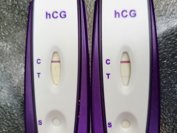 Equate Pregnancy Test, 16 Days Post Ovulation, Cycle Day 31