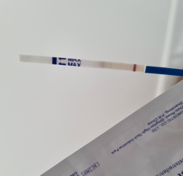 CVS One Step Pregnancy Test, 6 Days Post Ovulation, Cycle Day 19