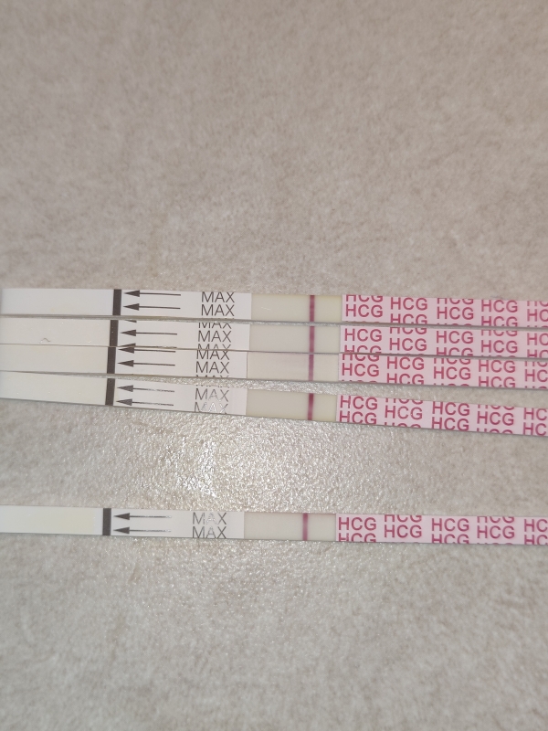 Wondfo Test Strips Pregnancy Test, 19 Days Post Ovulation, Cycle Day 28