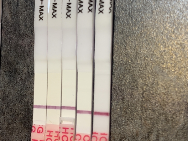 Wondfo Test Strips Pregnancy Test, 7 Days Post Ovulation
