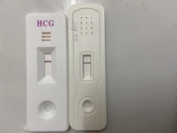 Home Pregnancy Test, 20 Days Post Ovulation, FMU, Cycle Day 36