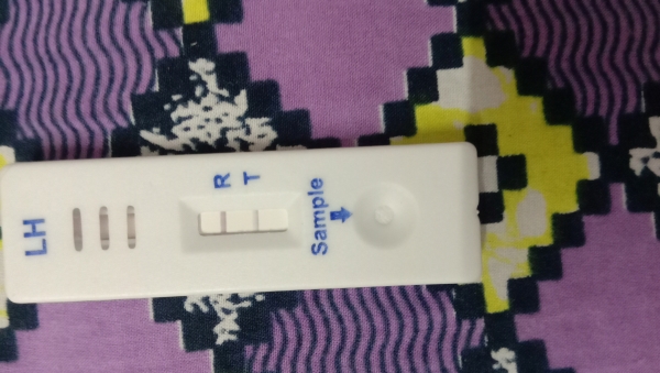 Home Pregnancy Test, 16 Days Post Ovulation, FMU, Cycle Day 30