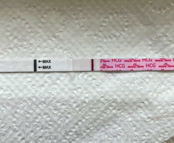 Easy-At-Home Pregnancy Test, 12 Days Post Ovulation, Cycle Day 27