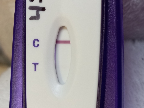 Equate Pregnancy Test, 14 Days Post Ovulation, Cycle Day 34