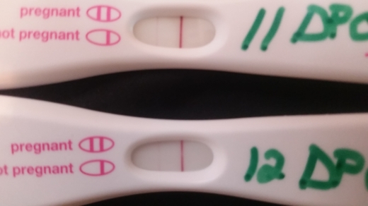 First Response Early Pregnancy Test, 12 Days Post Ovulation, Cycle Day 28