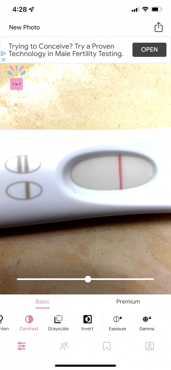 First Response Rapid Pregnancy Test, 14 Days Post Ovulation, Cycle Day 28