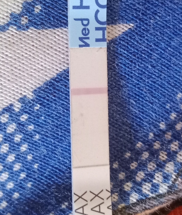 Generic Pregnancy Test, Cycle Day 22