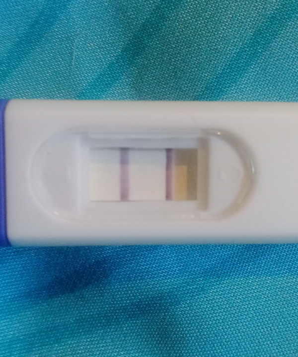 Generic Pregnancy Test, FMU, Cycle Day 31
