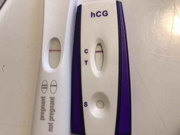 First Response Early Pregnancy Test, 6 Days Post Ovulation, FMU