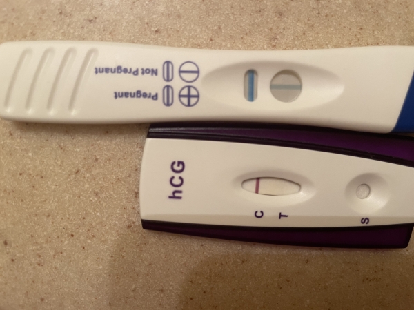 Generic Pregnancy Test, FMU, Cycle Day 37