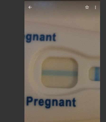 Generic Pregnancy Test, 10 Days Post Ovulation, Cycle Day 29