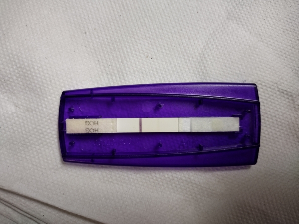 First Signal One Step Pregnancy Test, 17 DPO