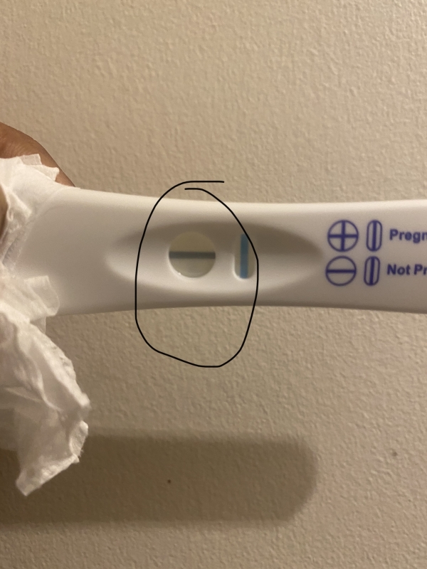 Home Pregnancy Test, 20 Days Post Ovulation, FMU, Cycle Day 40