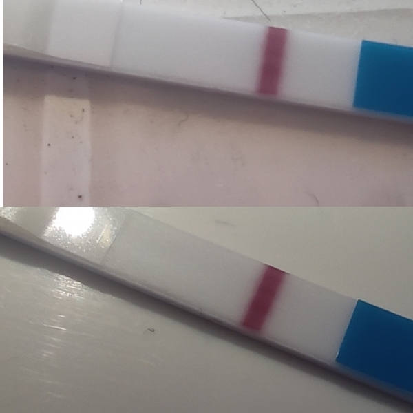 Generic Pregnancy Test, 8 Days Post Ovulation, Cycle Day 18
