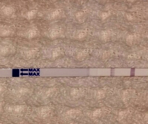 Clinical Guard Pregnancy Test, 11 Days Post Ovulation, FMU