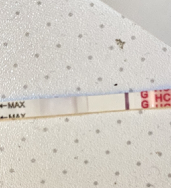 Wondfo Test Strips Pregnancy Test, 10 Days Post Ovulation, FMU