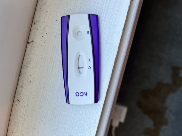 Equate Pregnancy Test, 8 Days Post Ovulation, Cycle Day 22