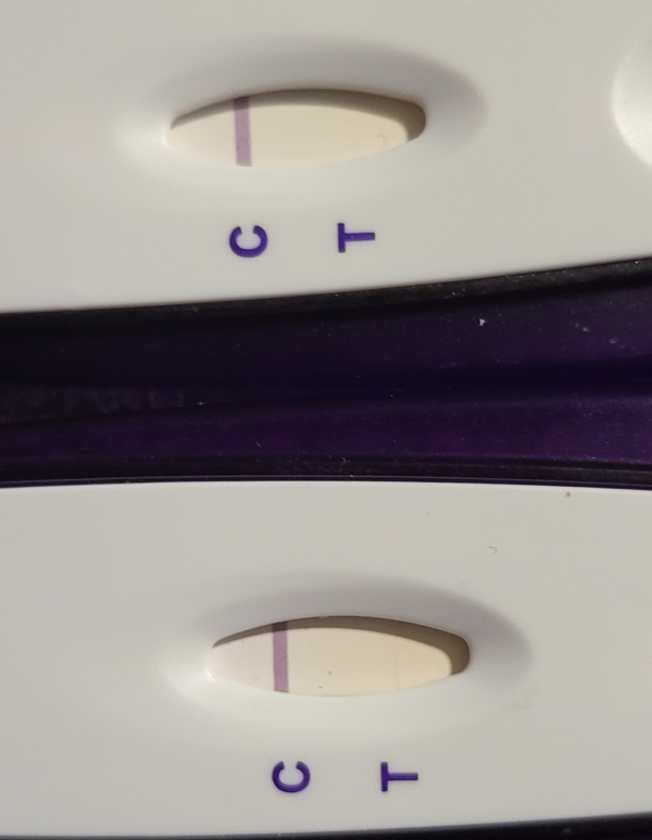 First Signal One Step Pregnancy Test, 10 Days Post Ovulation, FMU, Cycle Day 24