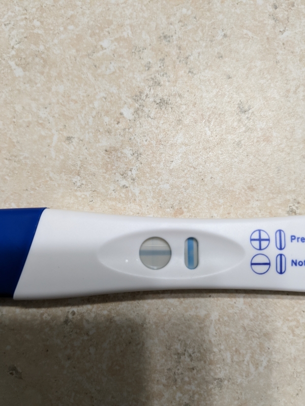 Generic Pregnancy Test, 19 Days Post Ovulation, Cycle Day 44