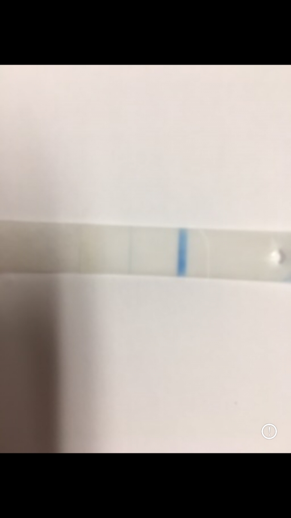 Equate Pregnancy Test, 17 Days Post Ovulation, Cycle Day 37