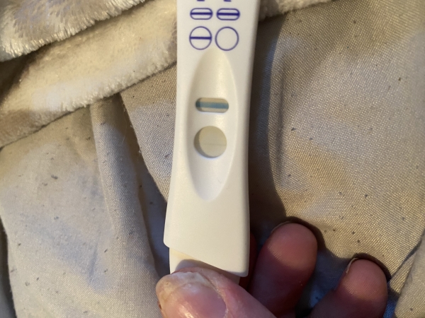 Equate Pregnancy Test, 15 Days Post Ovulation, Cycle Day 29