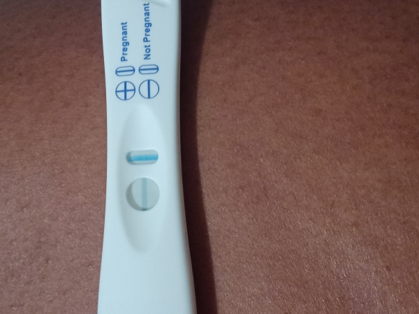 CVS One Step Pregnancy Test, 14 Days Post Ovulation, Cycle Day 24