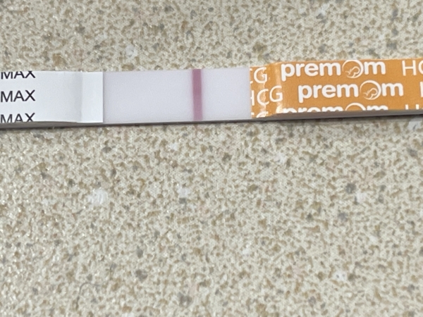 Generic Pregnancy Test, 17 Days Post Ovulation, FMU