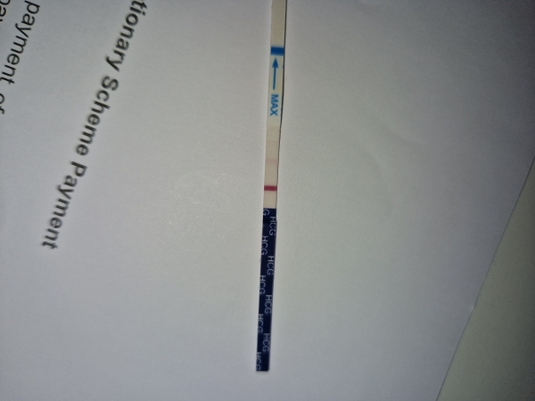Babi One Step Pregnancy Test, 10 Days Post Ovulation