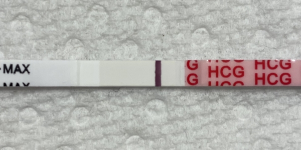 Wondfo Test Strips Pregnancy Test, 9 Days Post Ovulation, FMU, Cycle Day 29