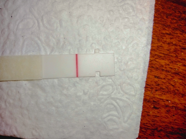 First Response Rapid Pregnancy Test, FMU