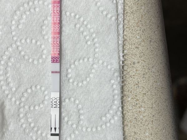 Generic Pregnancy Test, 18 Days Post Ovulation, FMU