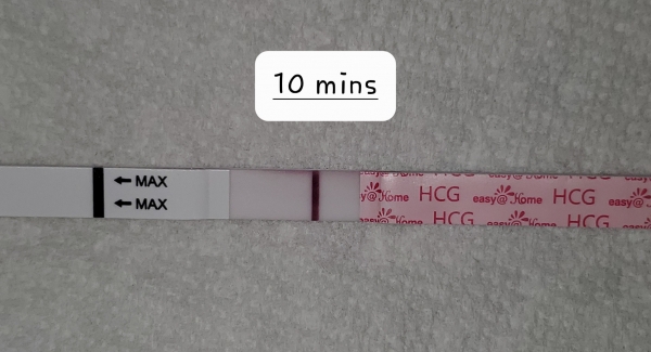 Easy-At-Home Pregnancy Test, 8 Days Post Ovulation