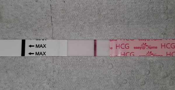 Easy-At-Home Pregnancy Test, 8 Days Post Ovulation, Cycle Day 19