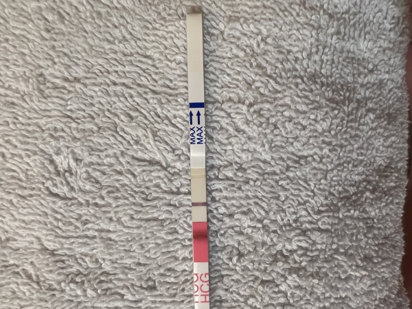 Clinical Guard Pregnancy Test, 21 Days Post Ovulation