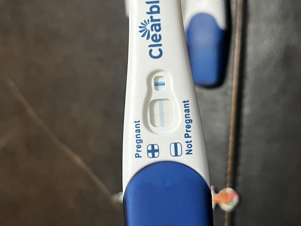 Clearblue Plus Pregnancy Test, 13 DPO